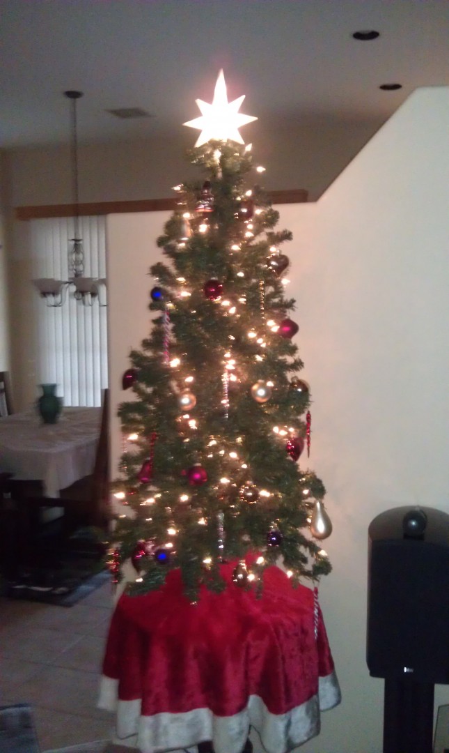 My Chistmas tree.jpg