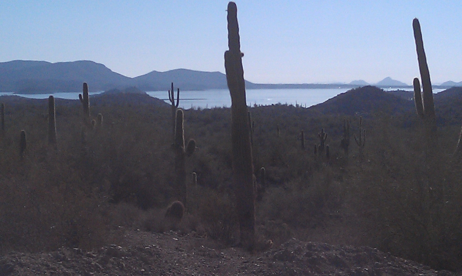 IMAG0064.jpg