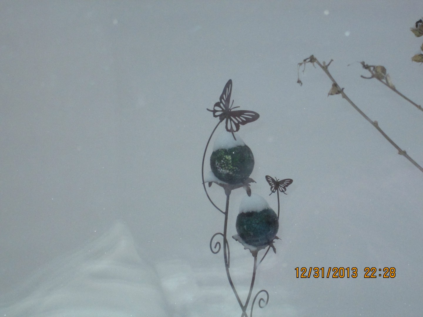 home pictures 007.JPG