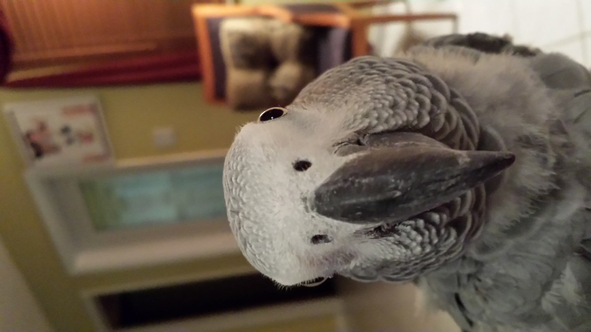 20140214_183111.jpg