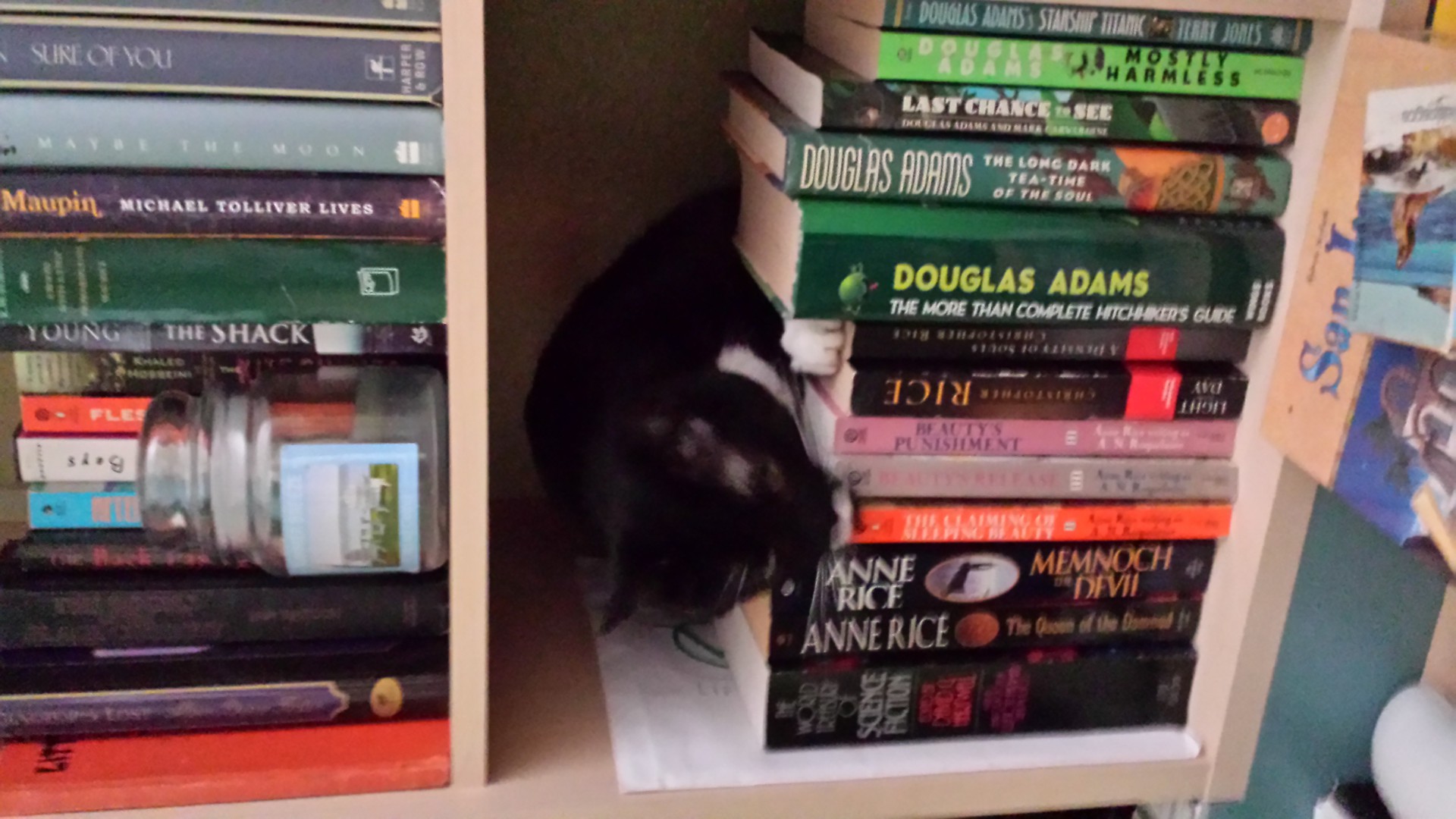 20131220_104438.jpg