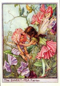 fairies.jpg