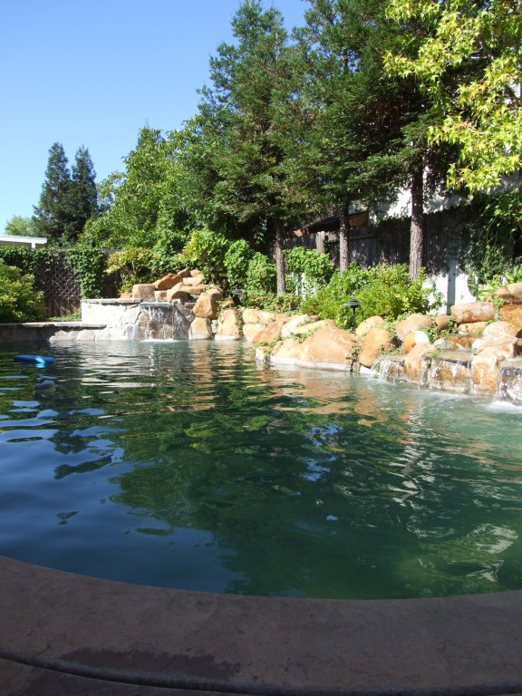 DSCF1049.JPG